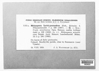 Image Associated With the Occurence